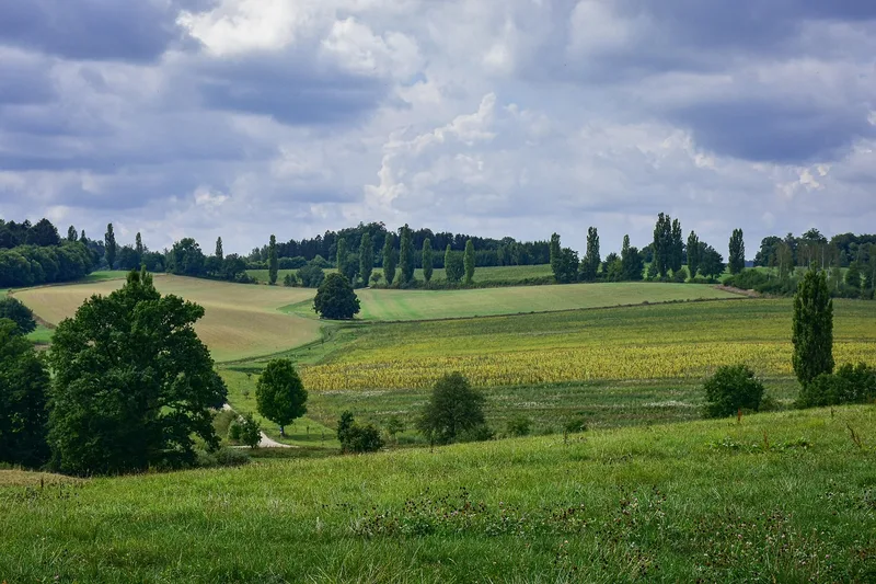 Middleburg Manor Estate — 12.4-acre homesite in Middleburg